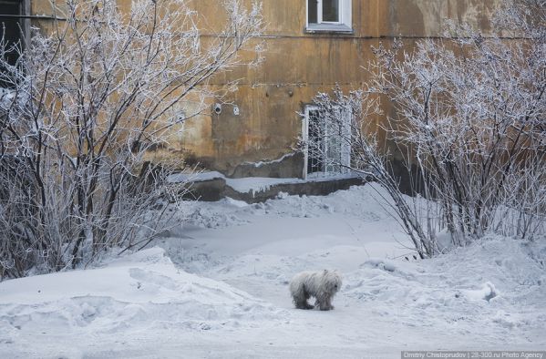 Прокопьевск на Кузбассе: когда промерзает всё!